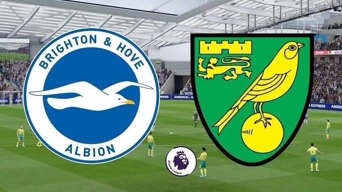 Soi keo nha cai Brighton Hove Albion vs Norwich City 2 11 2019 Ngoai Hang Anh