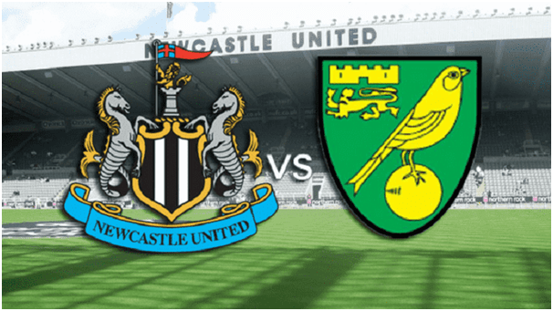 Soi kèo nhà cái Newcastle United vs Norwich City, 01/02/2020 - Ngoại Hạng Anh