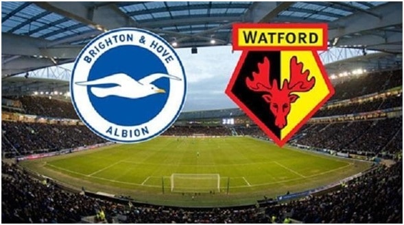 Soi keo nha cai Brighton Hove Albion vs Watford 09 02 2020 – VDQG Ngoai Hang Anh