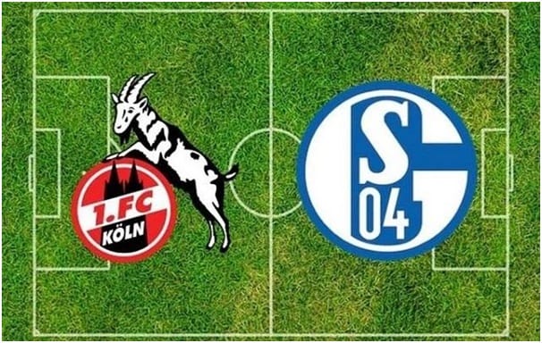 Soi kèo nhà cái Cologne vs Schalke 04, 29/2/2020 - Giải VĐQG Đức