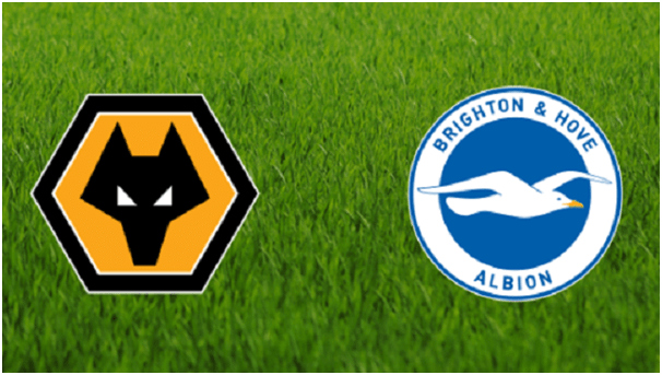 Soi kèo nhà cái Wolverhampton vs Brighton & Hove, 7/3/2020 - Ngoại Hạng Anh