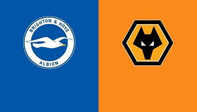 Soi kèo nhà cái Brighton & Hove Albion vs Wolves, 03/01/2021 – Ngoại hạng Anh